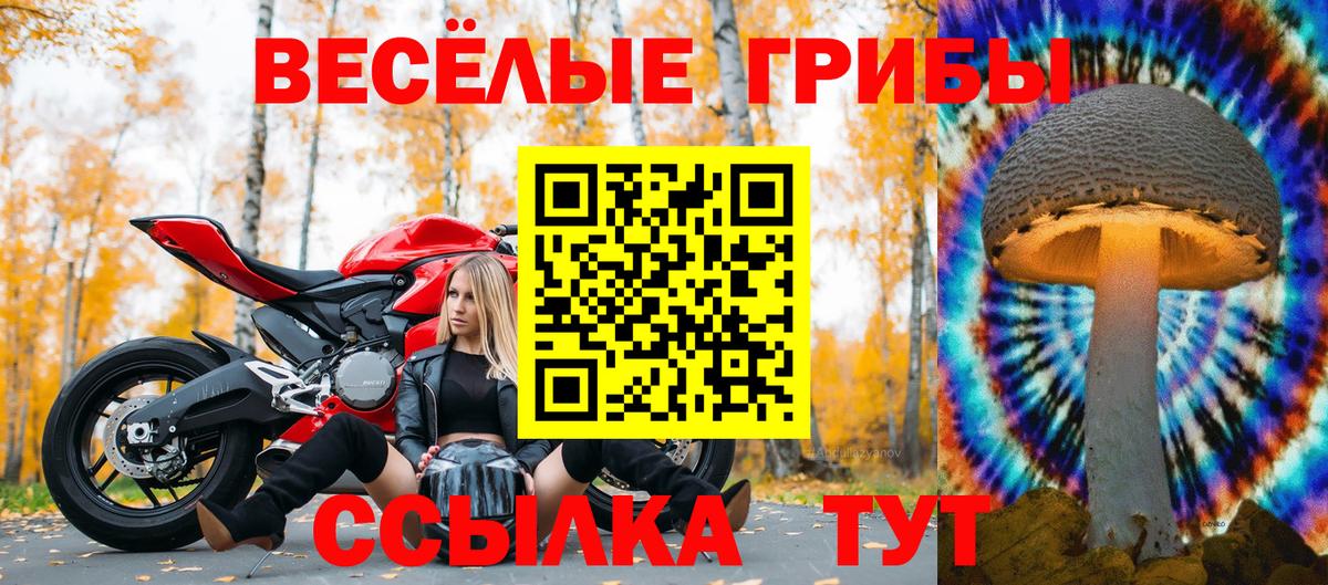 Псилоцибиновые грибы Psilocybine cubensis  Вход с VPN  Асбест 