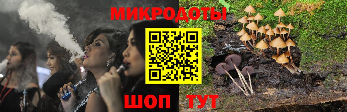 Псилоцибиновые грибы Cubensis Асбест